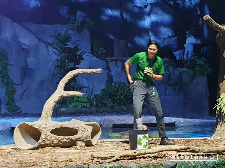 塑膠瓶一直丟不進回收桶的水獺