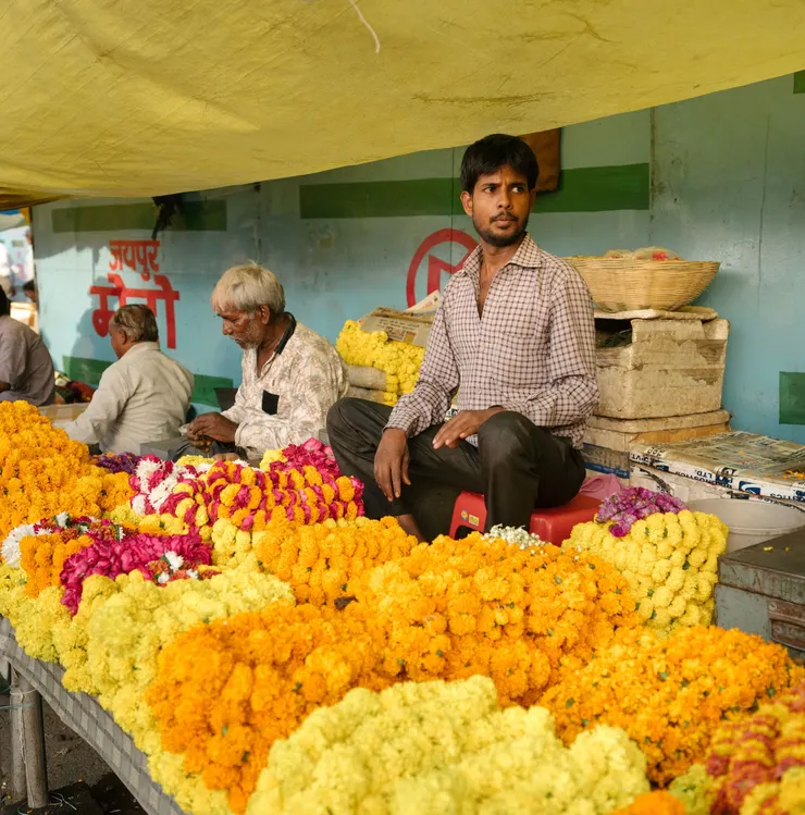 照片來源:國家地理