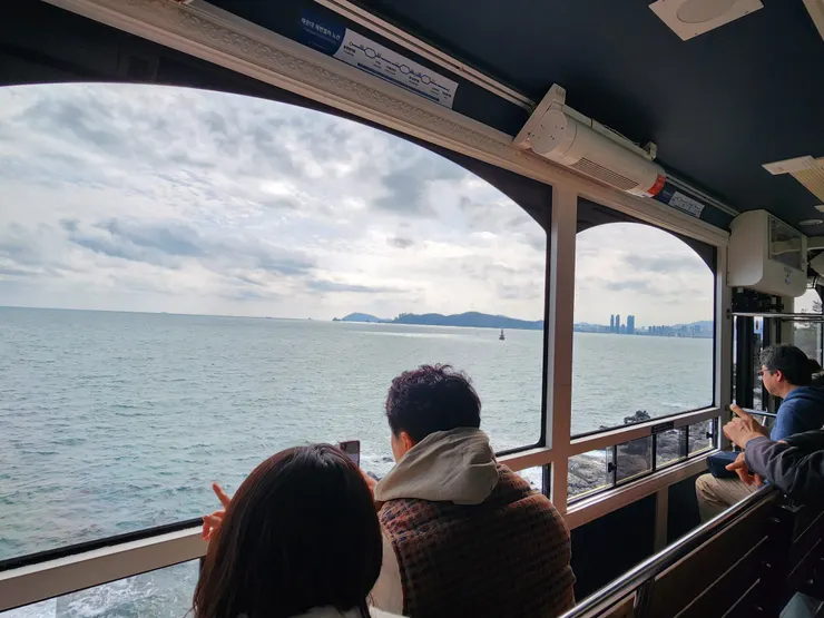 都是面向海洋一側的座位