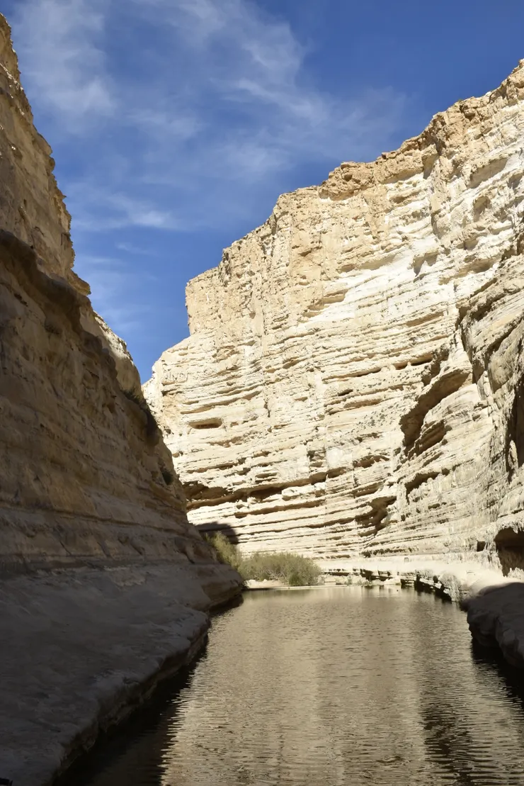 20170317在以色列ARAD曠野(李建崑攝影)