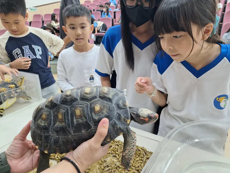 引導孩童們瞭解人類活動對烏龜的影響，學習如何愛護環境、保護烏龜