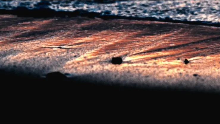 《在你所見的世界之中》劇照／新星獎提供