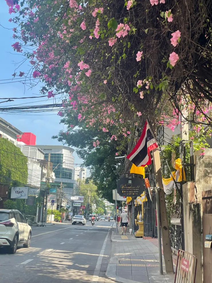 Phrom Phong ＆Asok中間很適合城市漫步，有很多很棒的咖啡廳