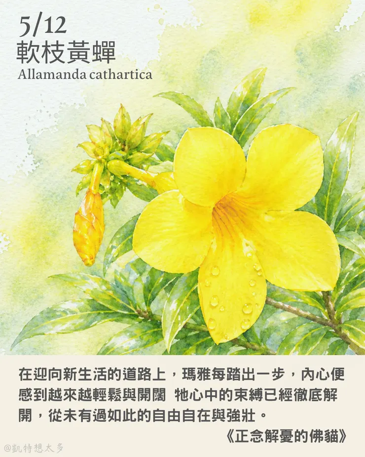 軟枝黃蟬×《正念解憂的佛貓》