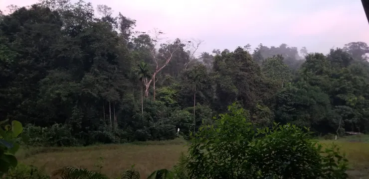 享受被大自然包圍中