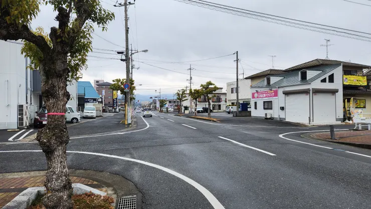 脫離了沒人的鄉間小路,終於來到了市區