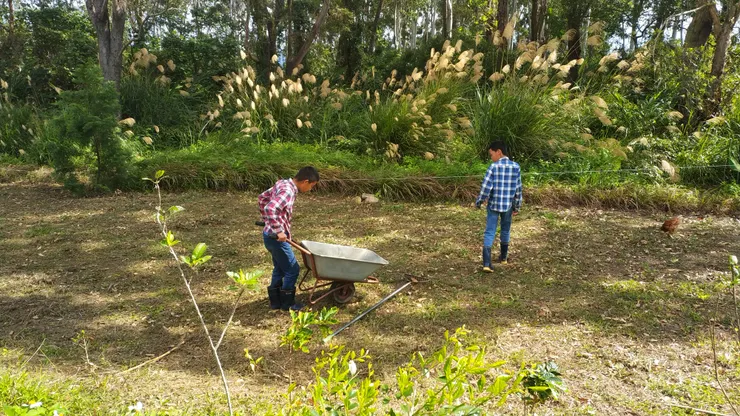 13歲和12歲兩兄弟在撿石頭