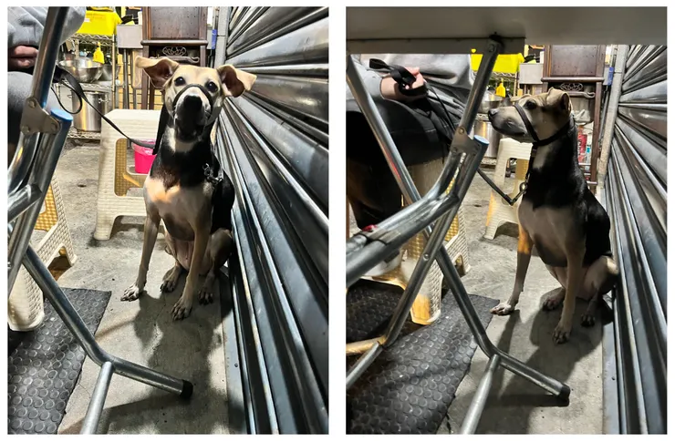 在路邊內側坐下