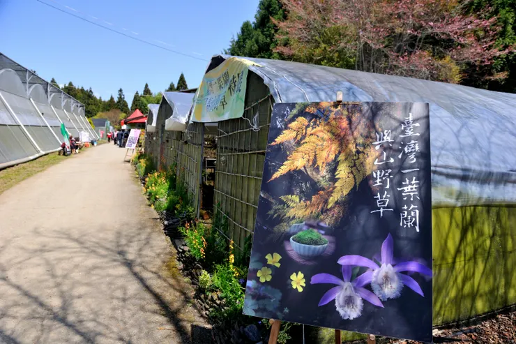 【一葉蘭展示室,當然還有許多其他的花。】