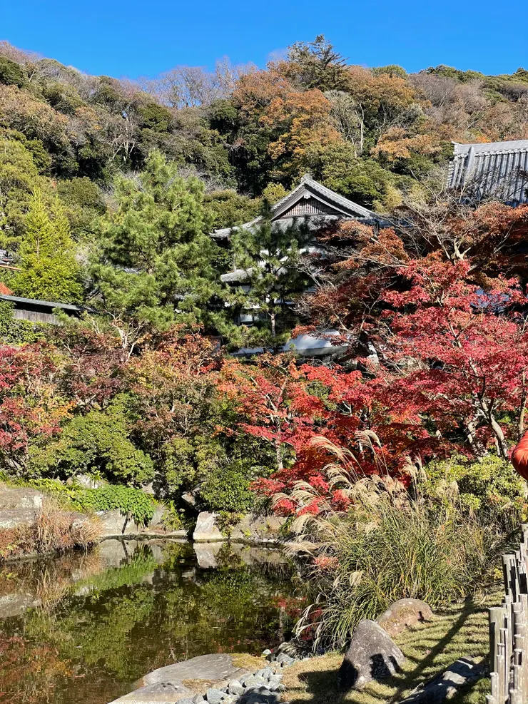 藍天、楓紅、澄池，與我