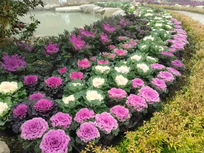 你的寶貴時間不是用來解釋的…..