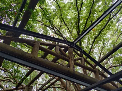 旅遊中+《序列爭戰》心得登上即時精選非常感謝