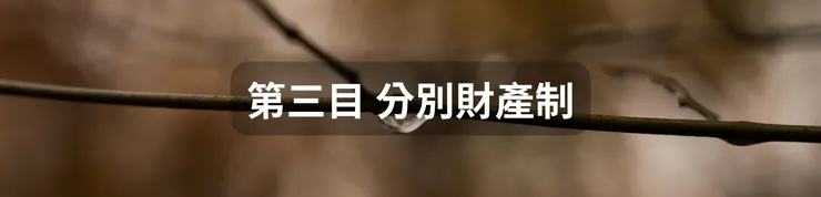 第三目 分別財產制