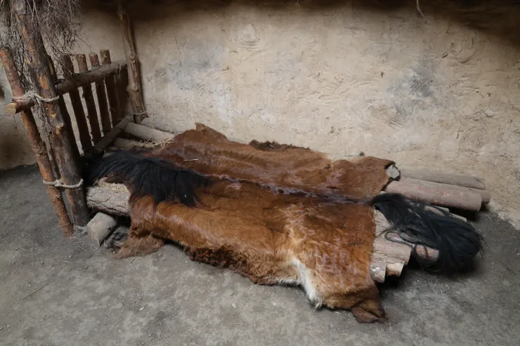 由原木、皮毛和墊子構成的床鋪。