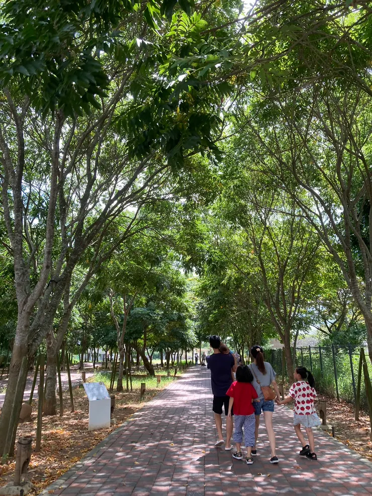 買票完後要先走一段路才會到室內展館喔