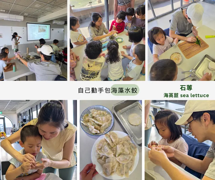 包海藻水餃頻頻露餡的寶貴經驗