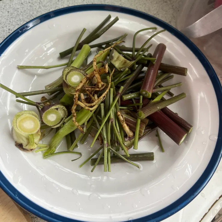 莖的外層切開後容易脫落,但不管,照用