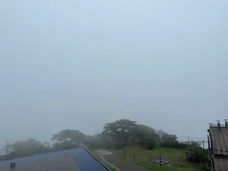 都是霧☁️