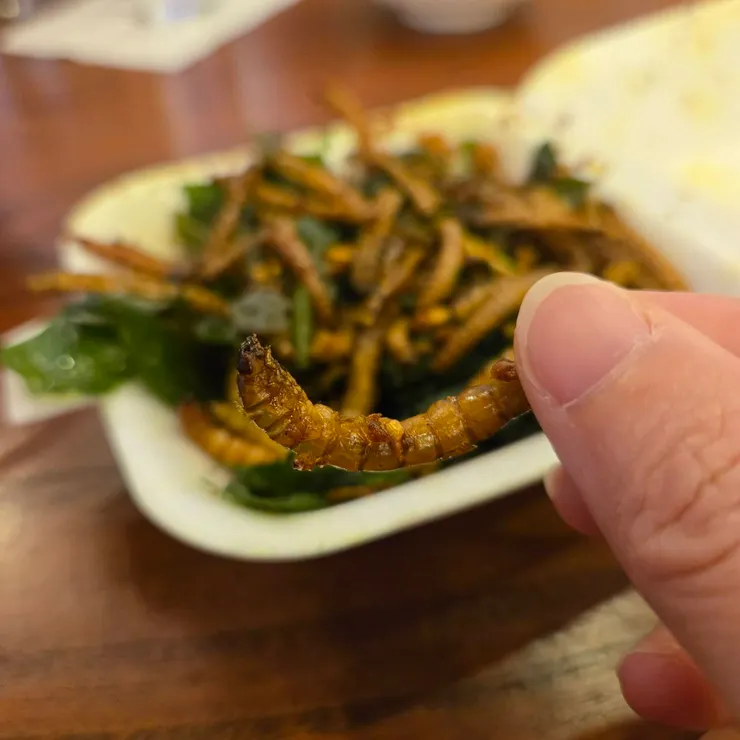 有蝦味的炒蟲子，可以稱之為另類的「蝦味先」嗎？