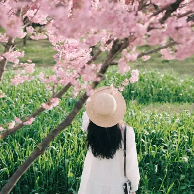 Lydia吃喝玩樂的沙龍