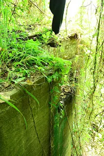 橋台