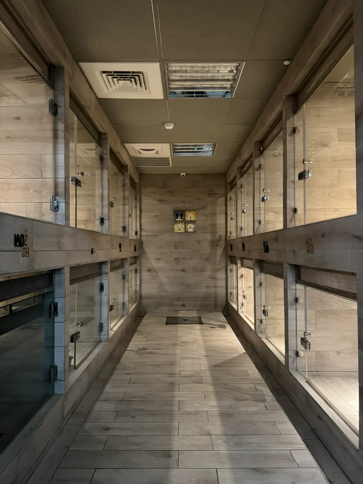 寵物旅館有著明亮的櫥窗