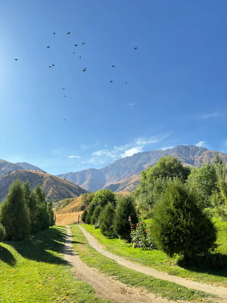 阿克蘇國家公園民宿景觀一隅，超美的吧