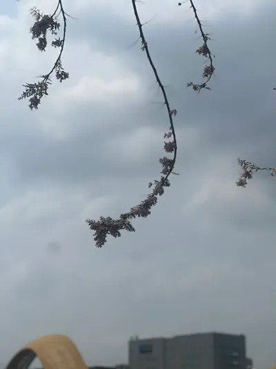 《沒有結局的十年》