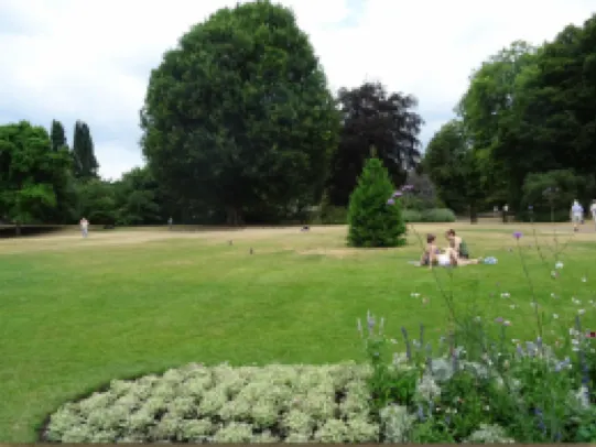 海德公園的超級美景