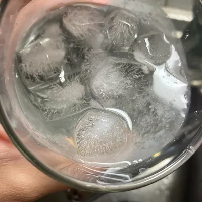 註異文庫的沙龍