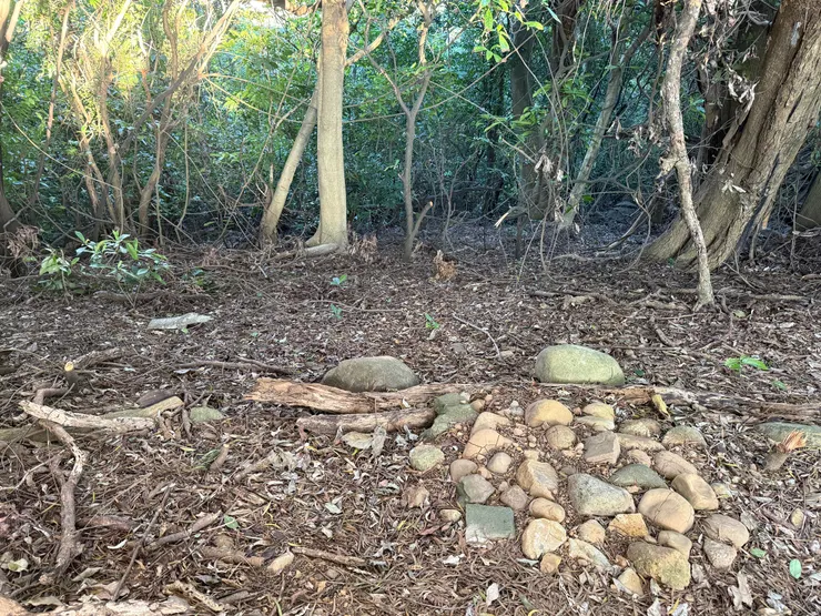 2025/12/07 上山看圓圓