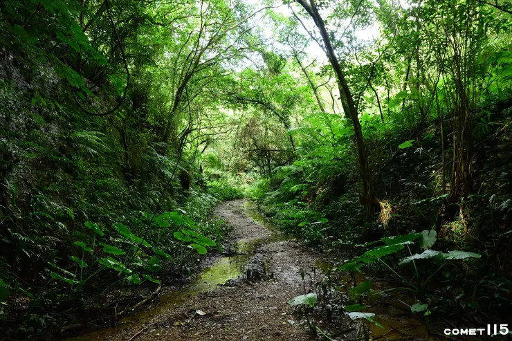 從第二四腳亭隧道北口回望隧道前的地塹，山側的擋土牆是紅磚砌成、海側則是卵石
