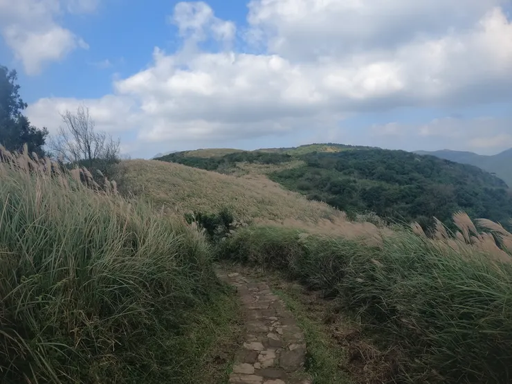 雲層還是有點厚,但芒花很飄逸