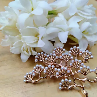 Loveistheanswer888的沙龍