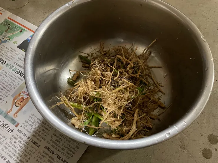終於切成小段的草根放進鍋子裡,加水燉煮