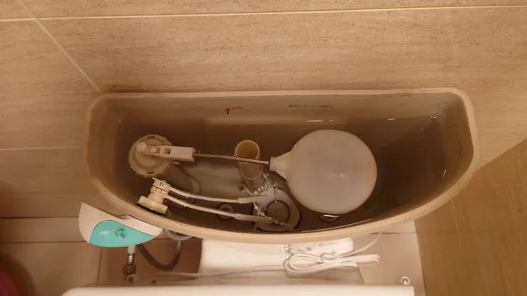 水位挺高的