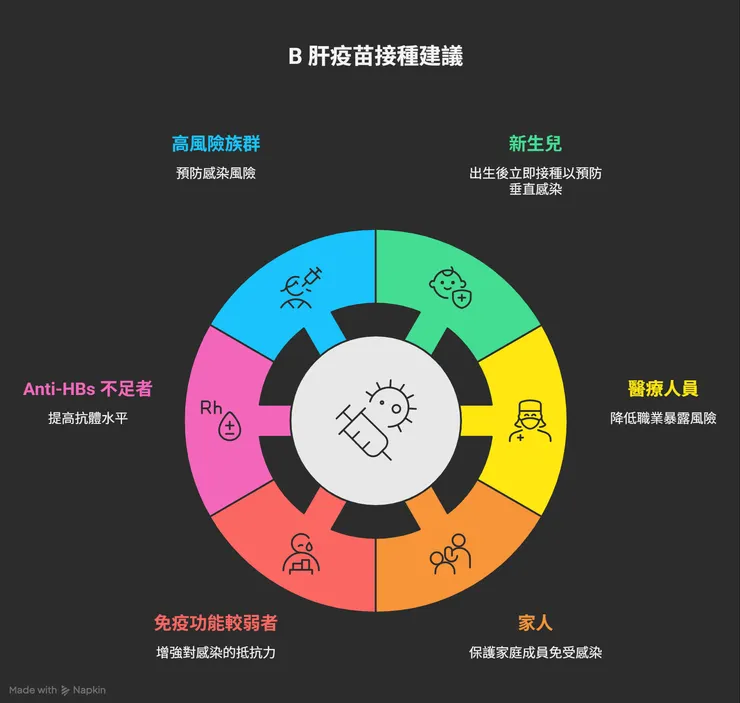 B肝疫苗建議施打族群