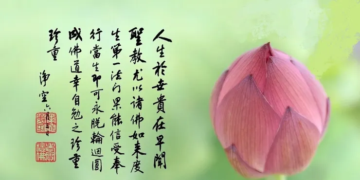 專心持念「阿彌陀佛」萬德洪名，期生淨土。