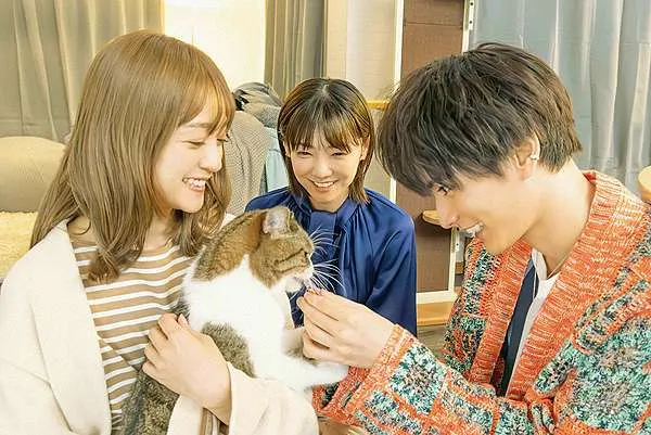 （《三日月和貓》電影劇照）