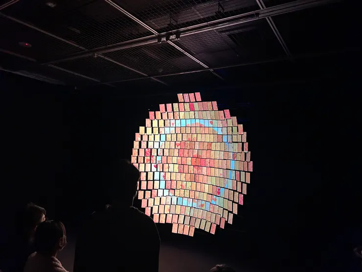 《宇宙寫生》2F展件：〈日光域XI〉（圖之一）