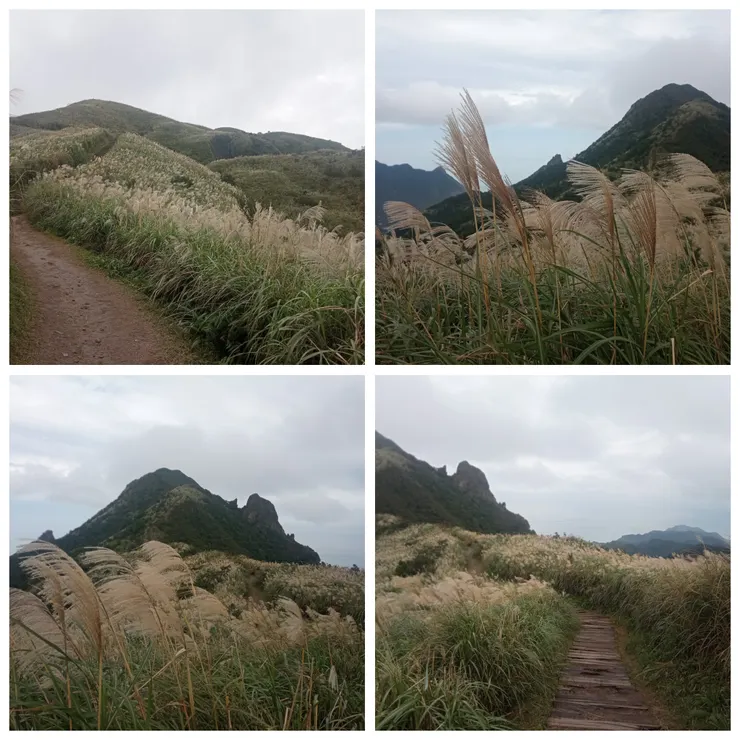 半屏山步道後段係岩石地形，要拉繩索才能攻頂