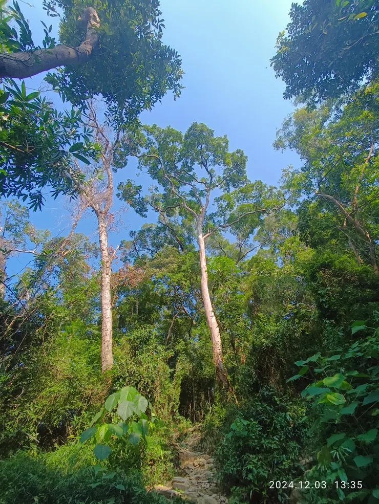 坡陡石疊天梯登，喘一口氣吧！