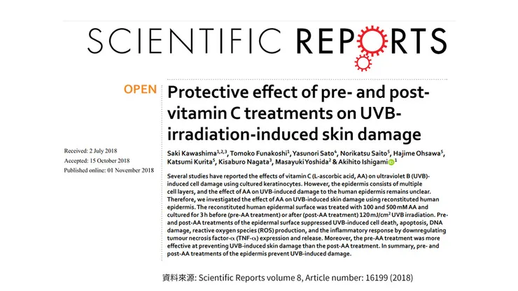 早C晚A 誰重要？兩大時機深入挑戰「早C好處」的保養計畫