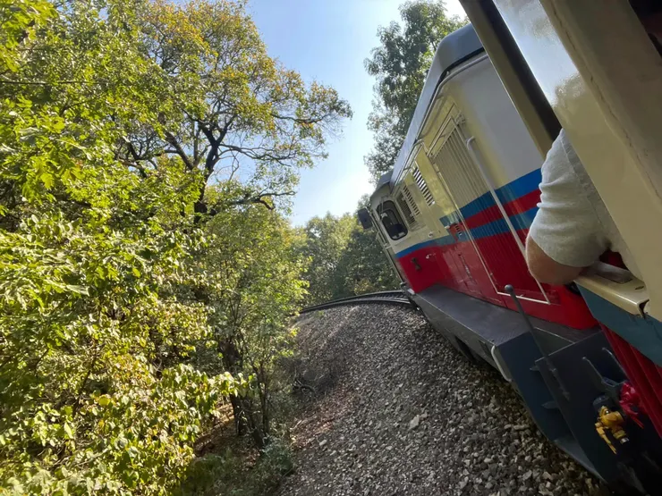 上山的沿途風光