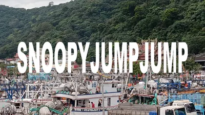 破皮水餃深夜的胡思亂想