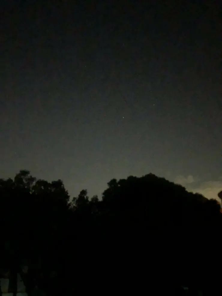 僅有頭部的天蠍座