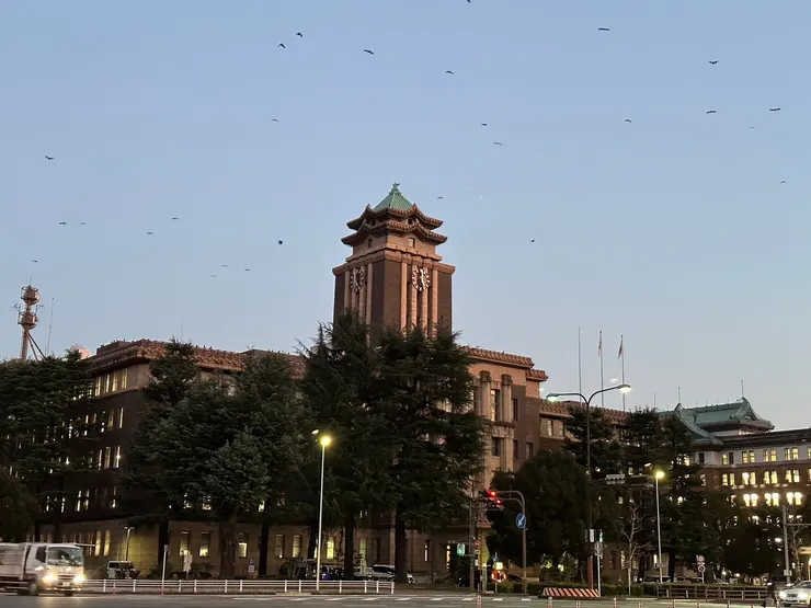 這個烏鴉量真的有點可怕