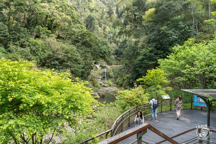 圓潭自然生態園區,圓潭生態園區,圓潭,嘉義景點,梅山景點,瑞里景點,嘉義,登山步道,戶外休閒,嘉義IG打卡