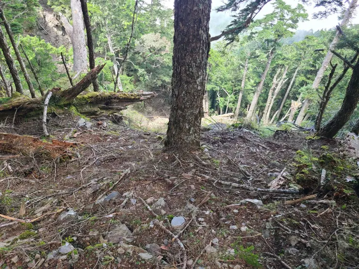 抵達崩塌地形前