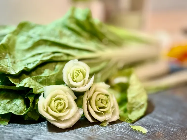 北漂。長住拍攝